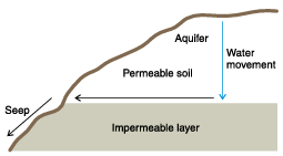 Figure 6.5. A saline seep. (NDSU image)